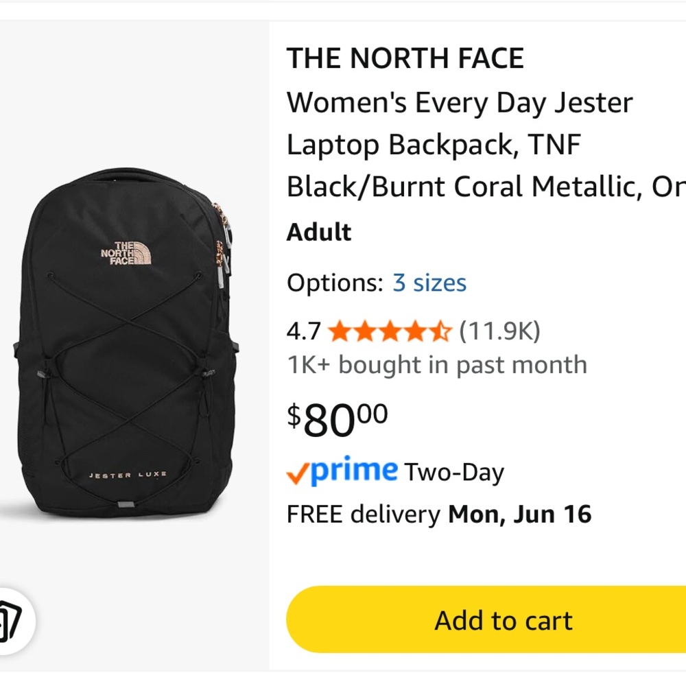 The North Face backpack